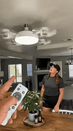 Limited‑Time Discount! 2‑in‑1 Ceiling Fan Light, Light & Cooling In One Unit