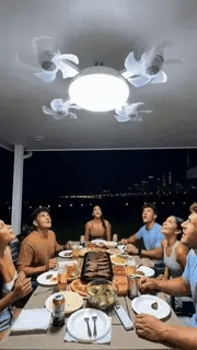 Limited‑Time Discount! 2‑in‑1 Ceiling Fan Light, Light & Cooling In One Unit